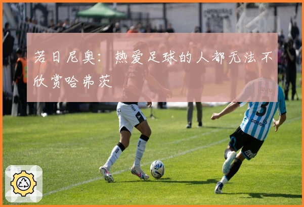 若日尼奥：热爱足球的人都无法不欣赏哈弗茨