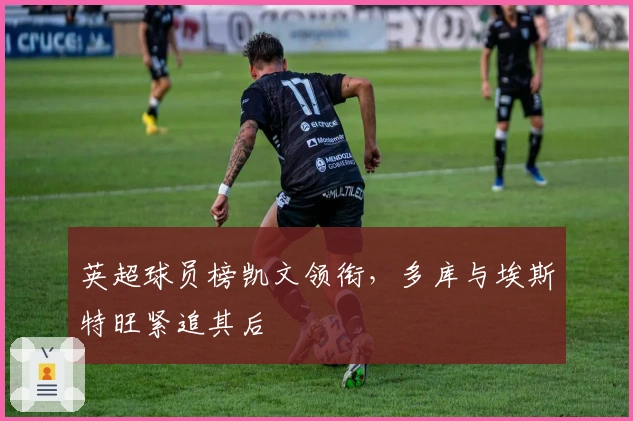 英超球员榜凯文领衔，多库与埃斯特旺紧追其后